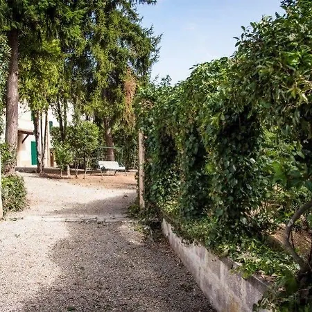 Bed & Breakfast Zara Siena